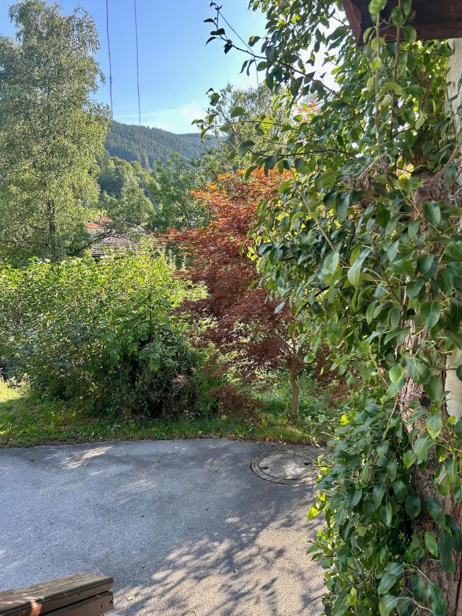 Apartment Huberspitz - Ruhe, Berge & Natur Hausham Exterior foto